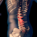 What happens to bones during a chiropractic adjustment?