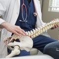 Is chiropractor a respected profession?