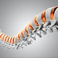 Why do doctors discourage chiropractors?