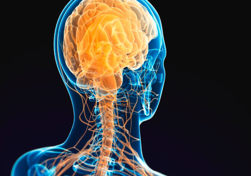 What does a chiropractor do for the nervous system?